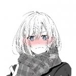 花花飞高高