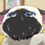 啊光